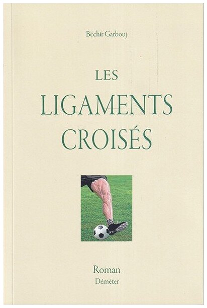 Les ligaments croisés