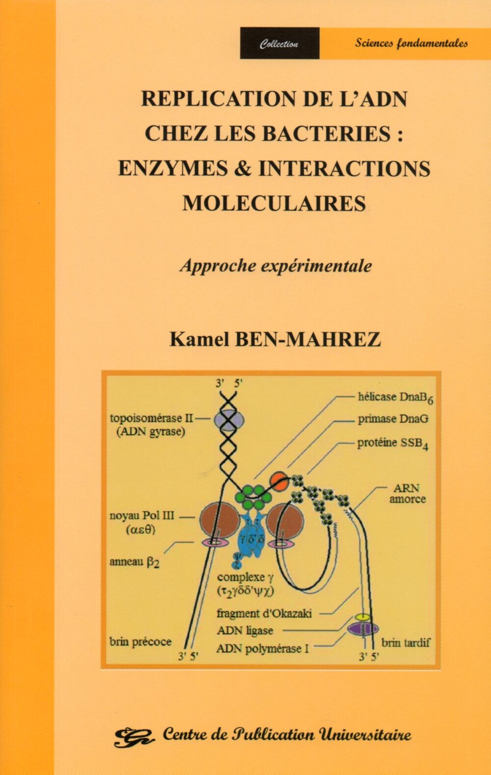 Réplication de l'ADN chez les bactéries : Enzymes et interactions moléculaires. Approches expérimentale