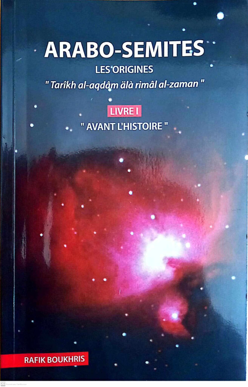 ARABO-SEMITES: les origines