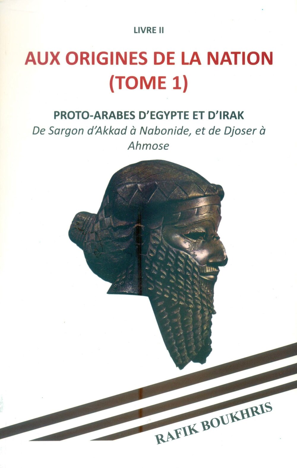 Aux origines de la nation (tome1)