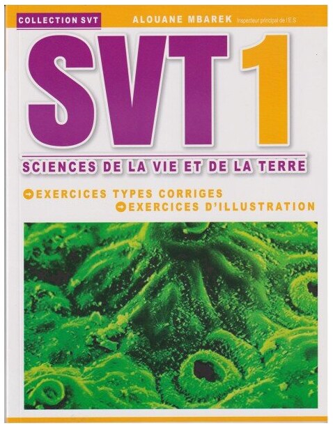 svt 1