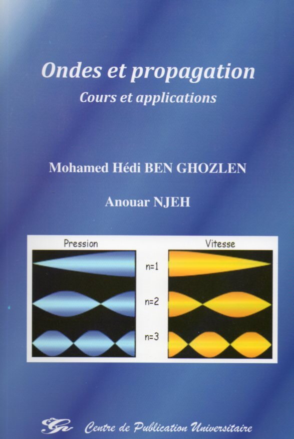 Ondes et propagation. Cours et applications