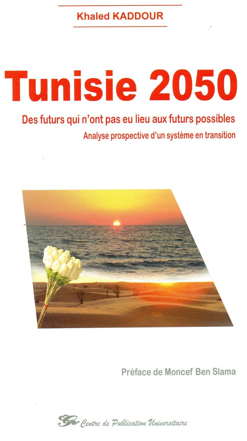 Tunisie 2050. Des futurs qui n’ont pas eu lieu aux futurs possibles. Analyse prospective d’un système en transition.
