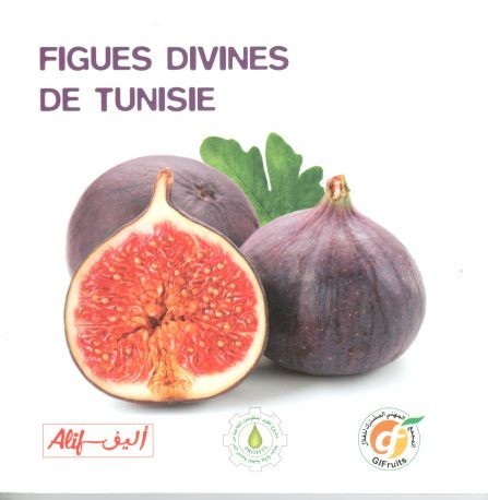 Figues divines de Tunisie