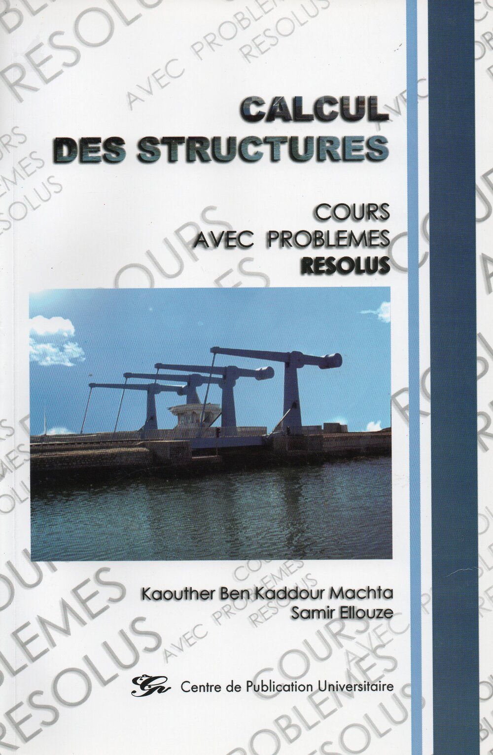 Calcul des structures. Cours avec problèmes résolus