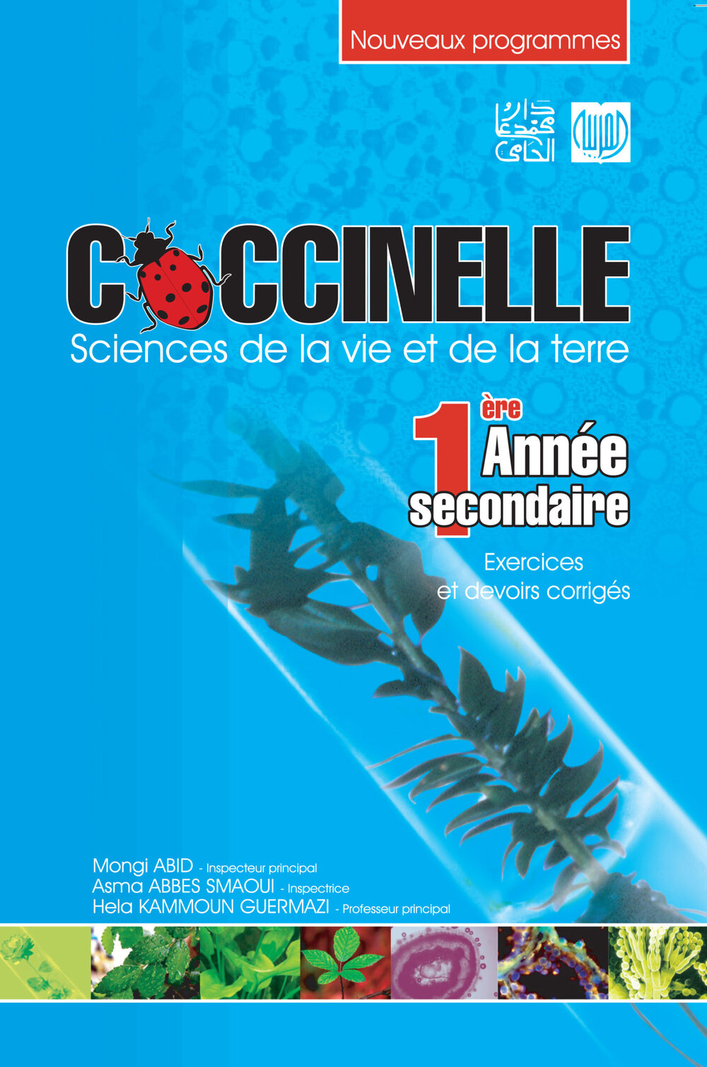 coccinelle 1