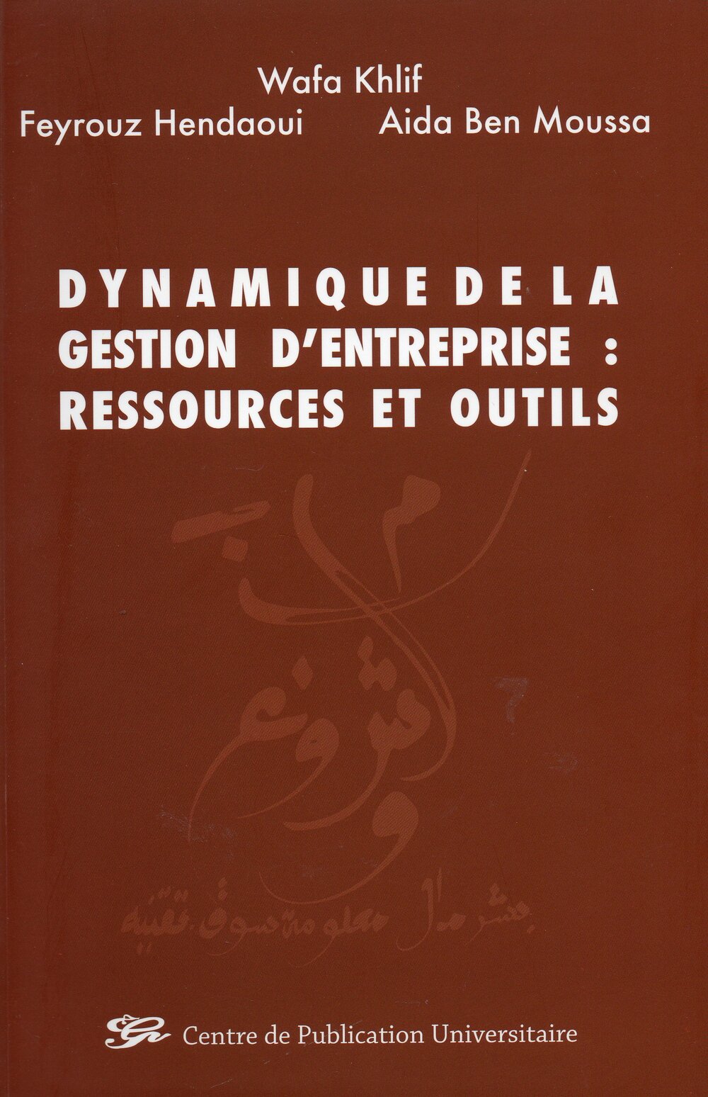 Dynamique de la gestion d'entreprise: Ressources et outils