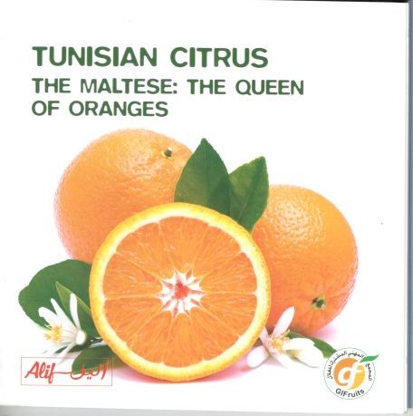 TUNISIAN CITRUS The Maltese: The queen of oranges