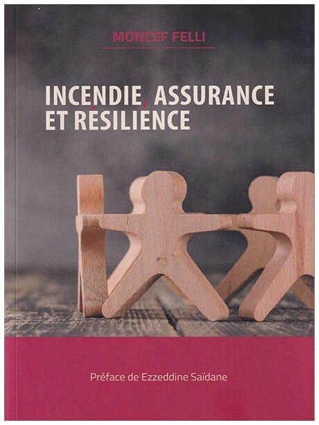 INCENDIE,ASSURANCE ET RESILIENCE