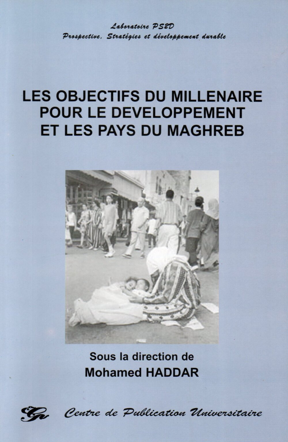 Les objectifs du millénaire pour le développement et les pays du Maghreb