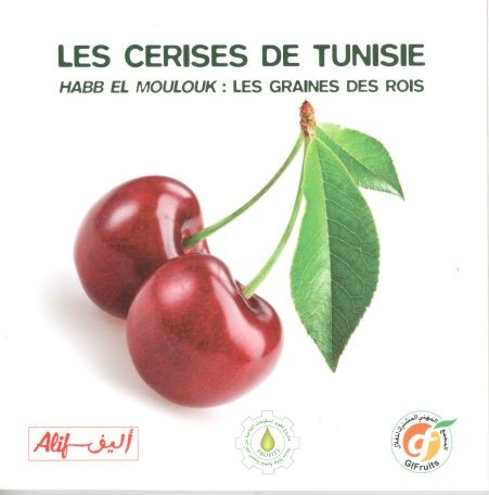 LES CERISES DE TUNISIE Habb el Moulouk : Les graines des rois