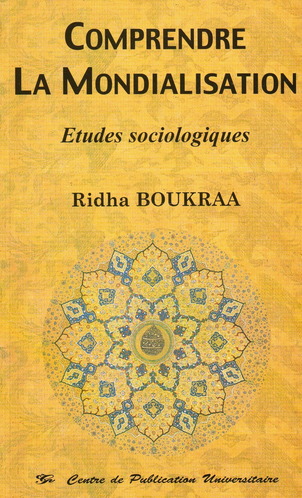 Comprendre la mondialisation Etudes sociologiques