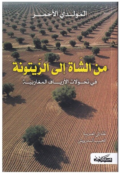من الشاة إلى الزيتونة في تحولات الأرياف المغاربية
