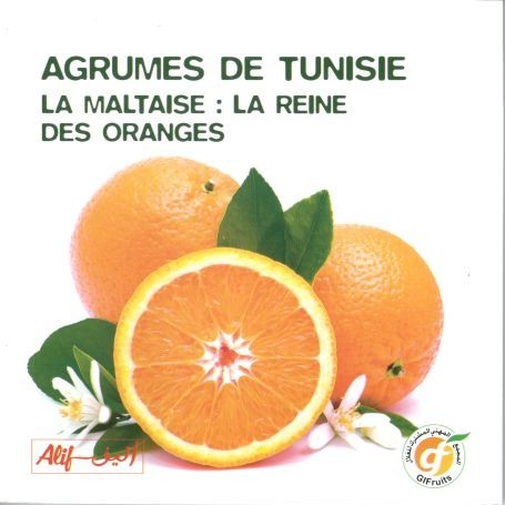 AGRUMES DE TUNISIE : LA MALTAISE, LA REINE DES ORANGES