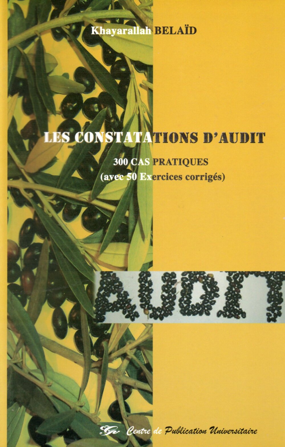 Les constations d'Audit. 300 cas pratiques (avec 50 exercices corrigés)