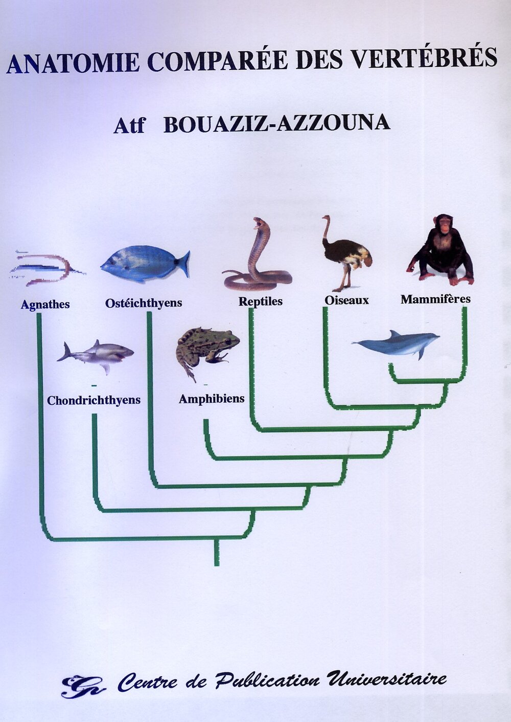 Anatomie comparée des vertébrés
