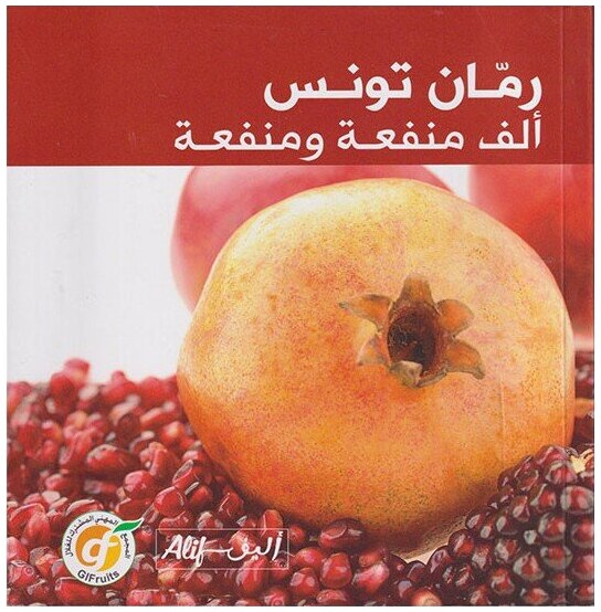 رمان تونس