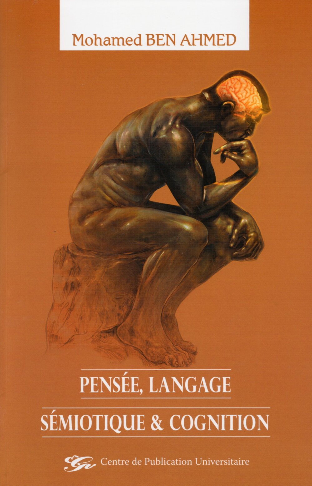 Pensée, language, sémiotique et cognition