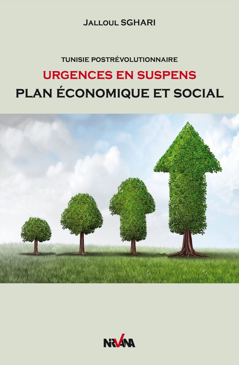 Tunisie Post-révolutionnaire, urgences en suspens