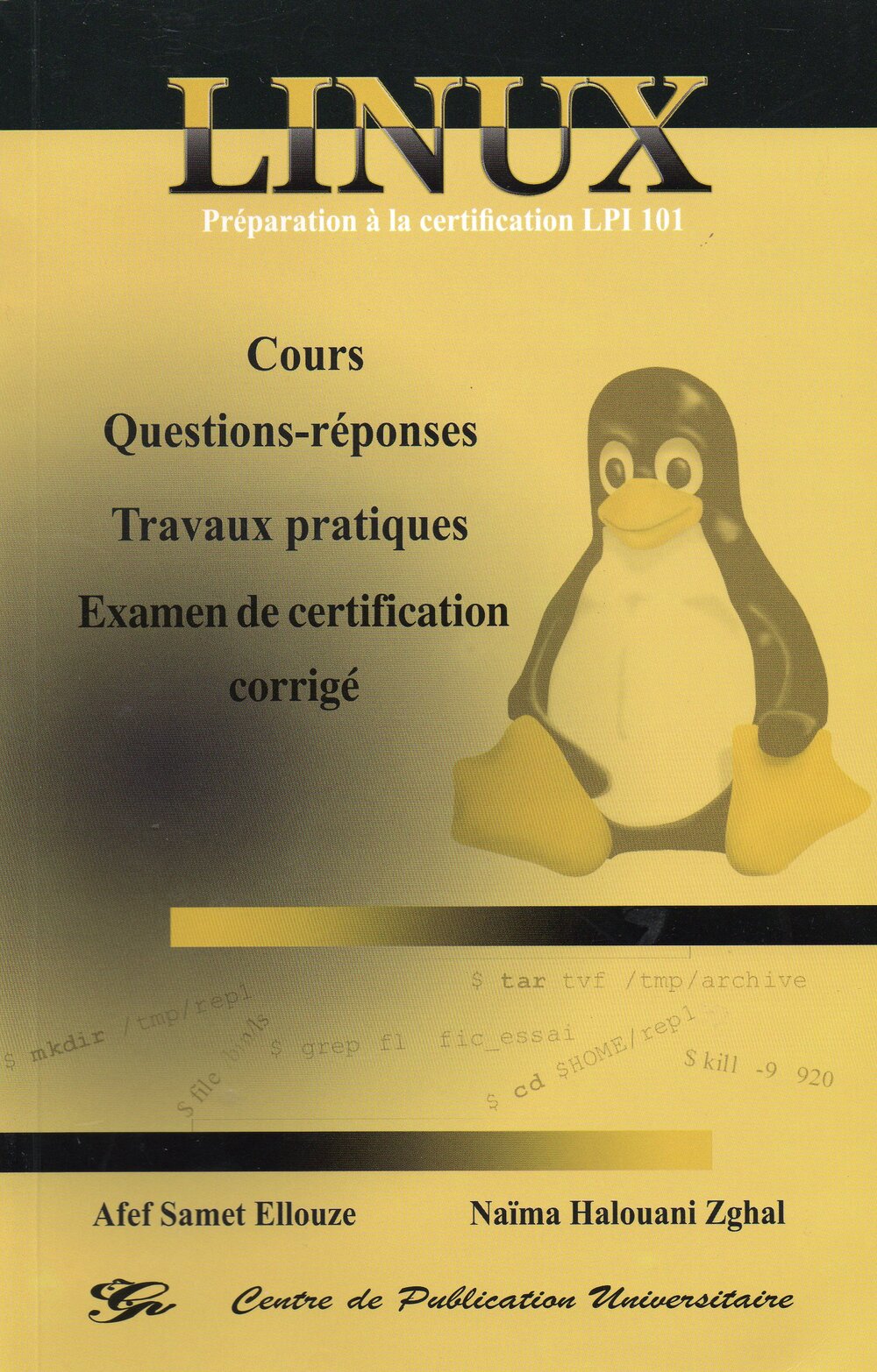 LINUX : Préparation à la certification LPI 101 Cours - Questions-réponses - Travaux pratiques - Examen de certification corrigé
