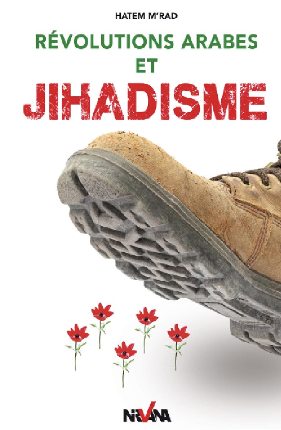 Révolutions arabes et jihadisme