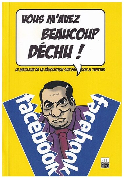 Vous m'avez beaucoup déchu!