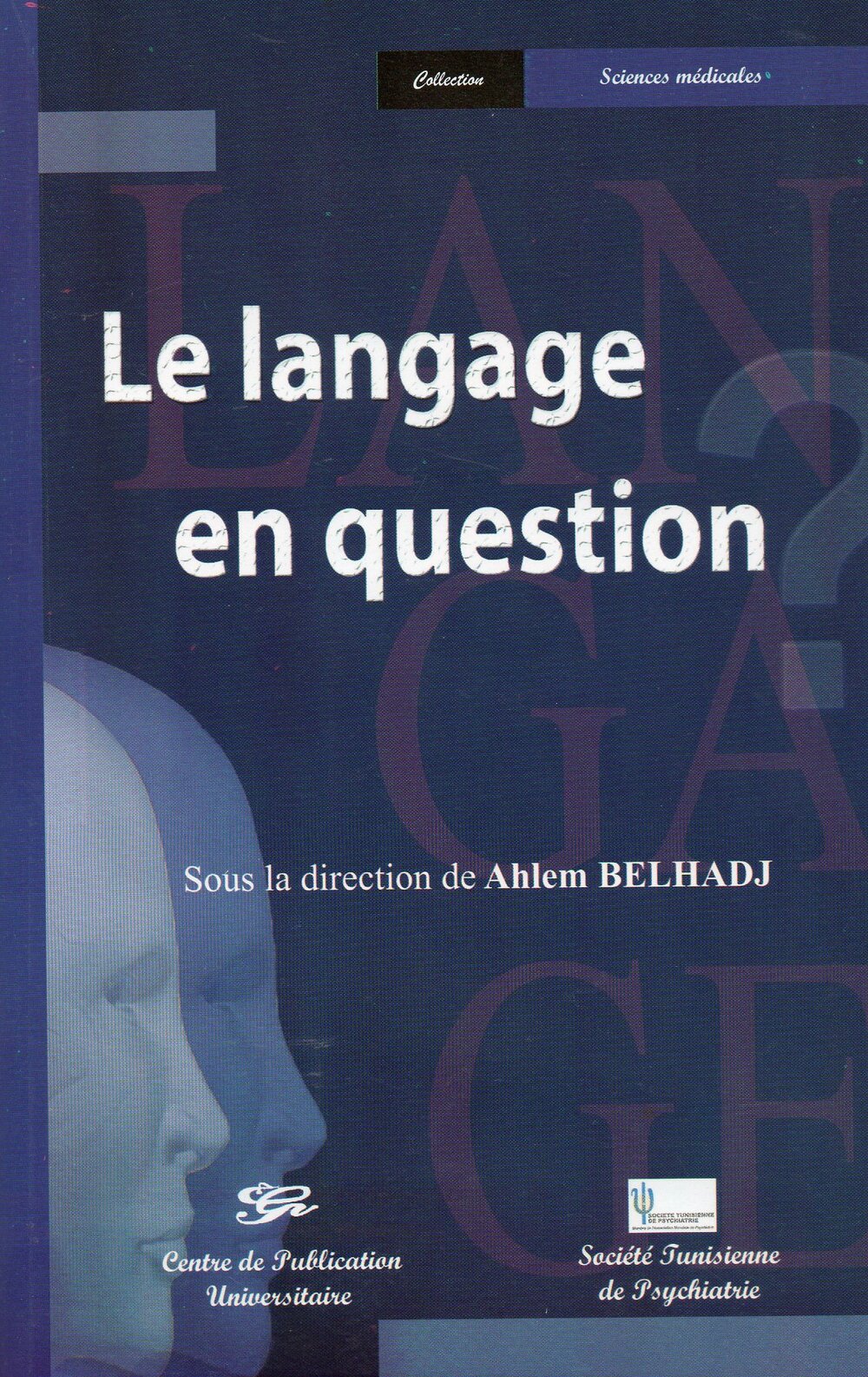 Le langage en question